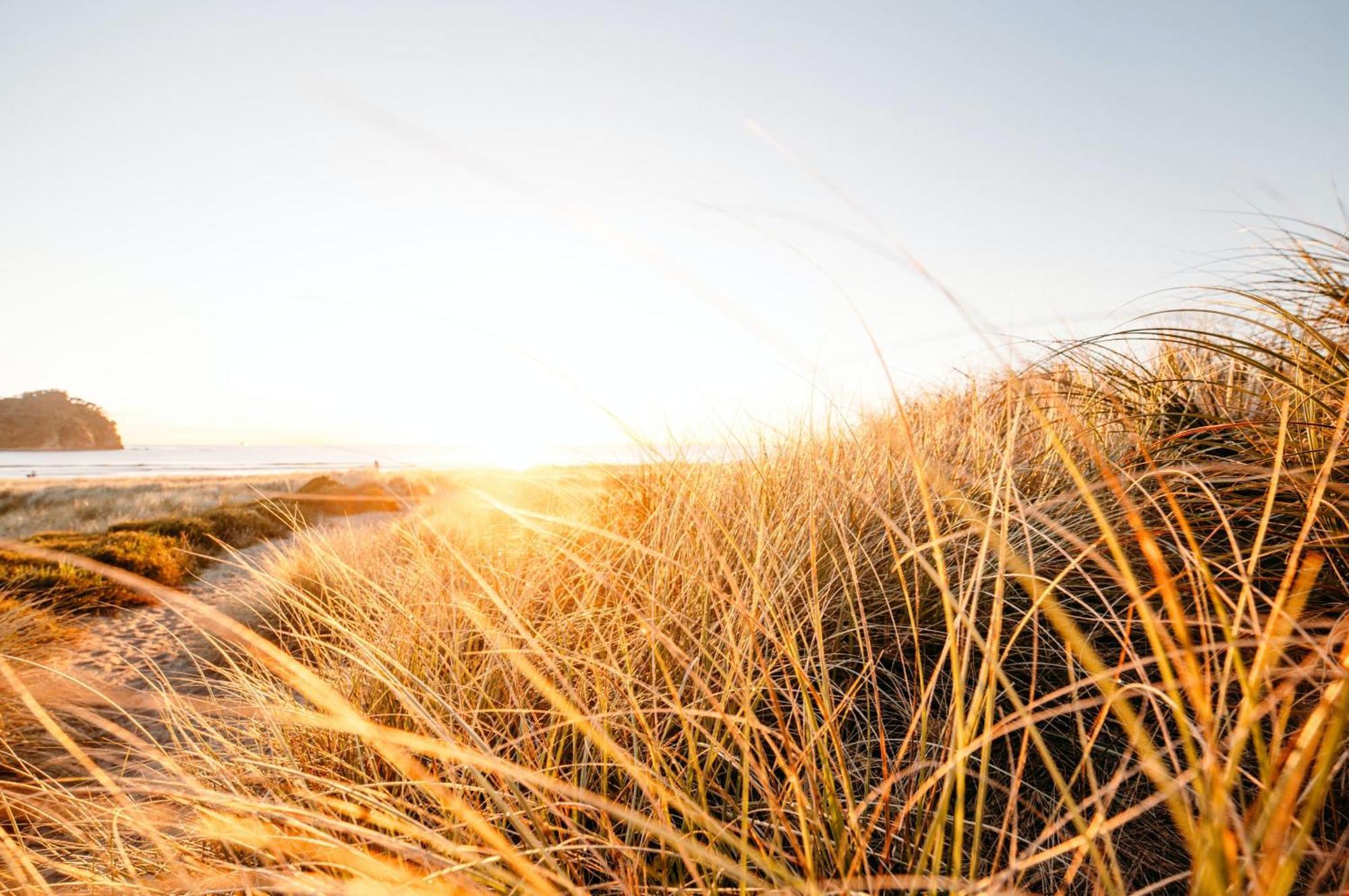 Seaside Escape Villa Mount Maunganui Bagian luar foto
